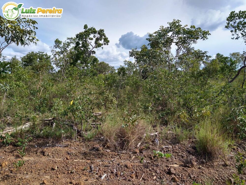 Terreno à venda, 16200m² - Foto 2