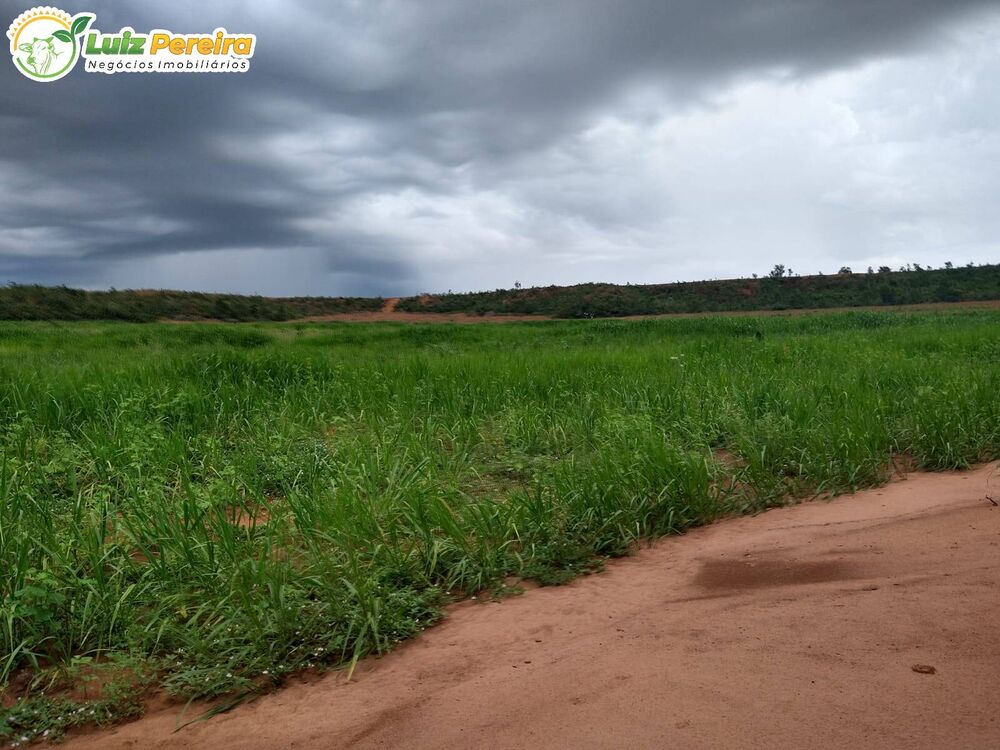 Terreno à venda, 16200m² - Foto 10
