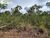 Terreno, 2 hectares - Foto 2