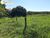 Terreno, 946 hectares - Foto 1
