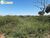 Terreno, 946 hectares - Foto 2
