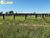 Terreno, 946 hectares - Foto 4