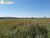 Terreno, 946 hectares - Foto 3