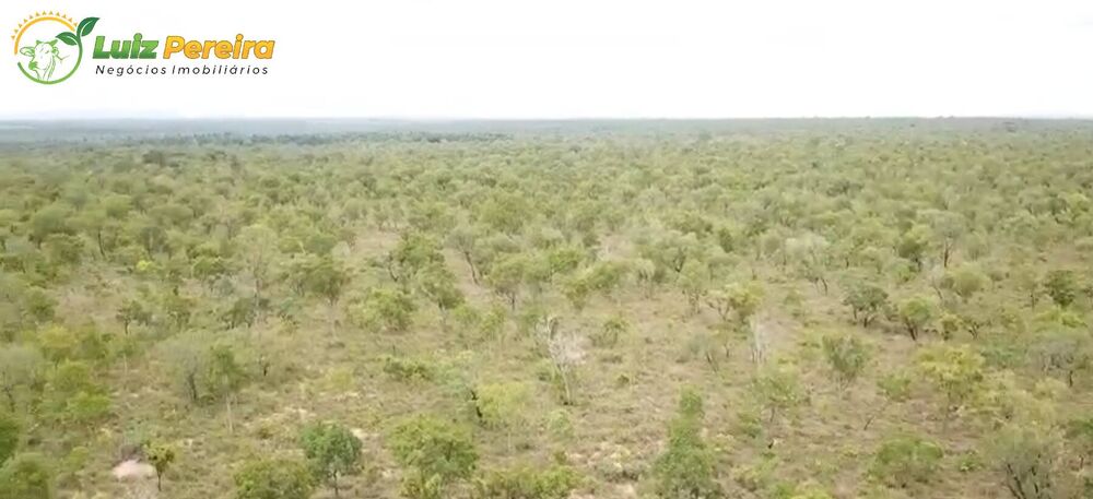 Terreno à venda, 21780000m² - Foto 4