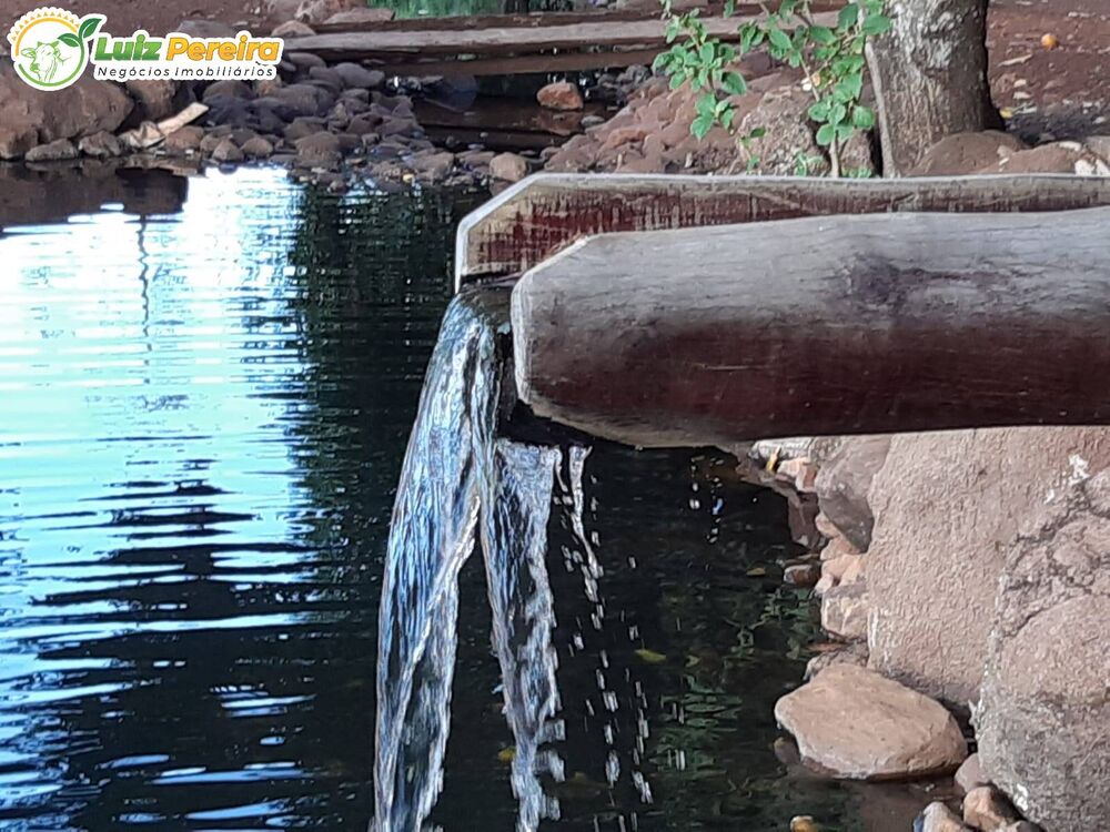 Terreno, 83 hectares - Foto 4