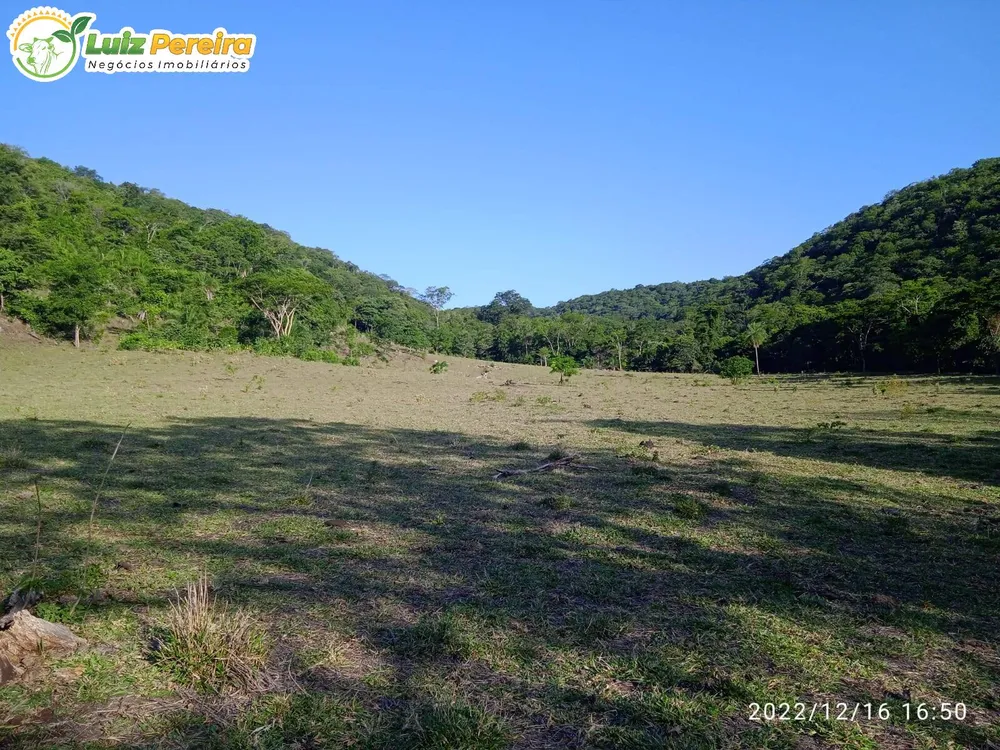 Terreno, 83 hectares - Foto 2
