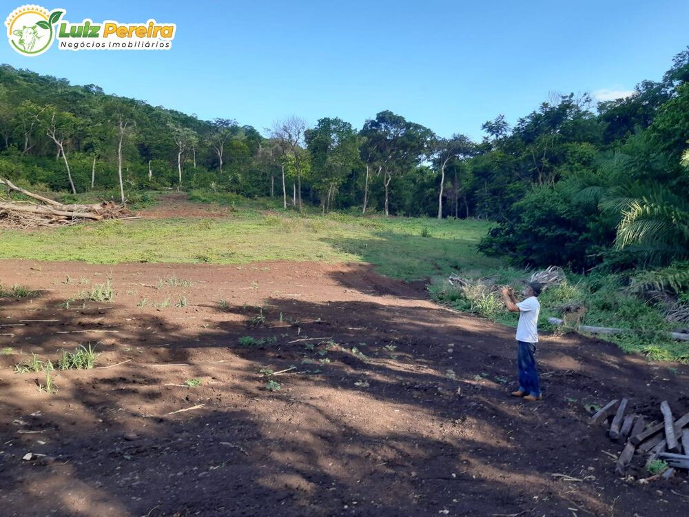 Terreno, 83 hectares - Foto 1
