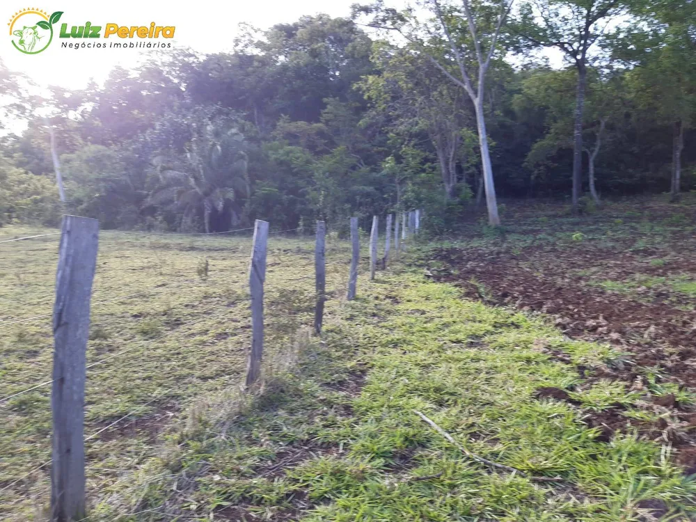 Terreno, 83 hectares - Foto 8