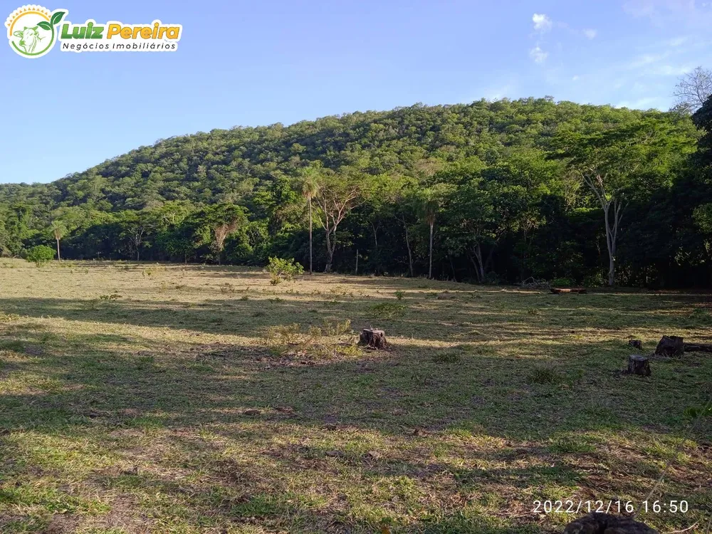 Terreno, 83 hectares - Foto 1