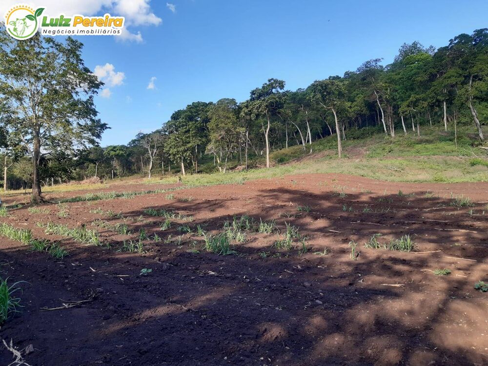 Terreno, 83 hectares - Foto 2