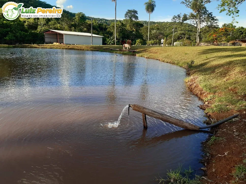 Terreno, 83 hectares - Foto 13