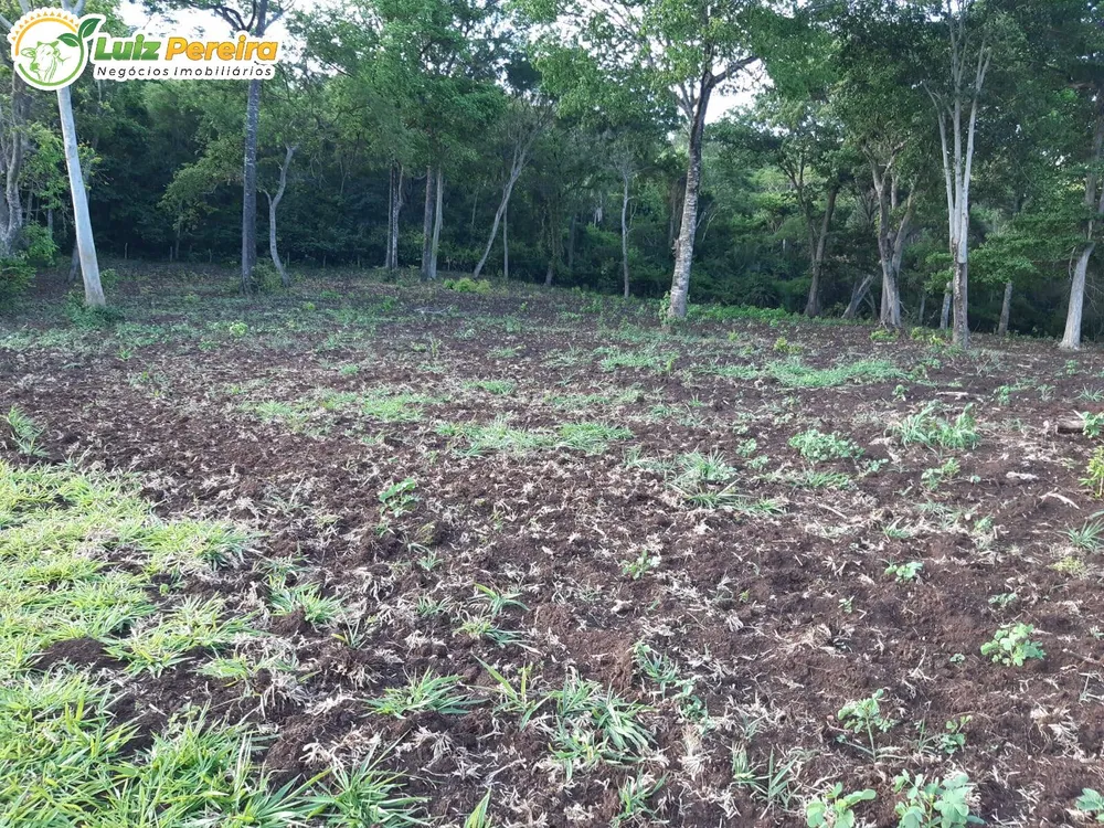 Terreno, 83 hectares - Foto 6