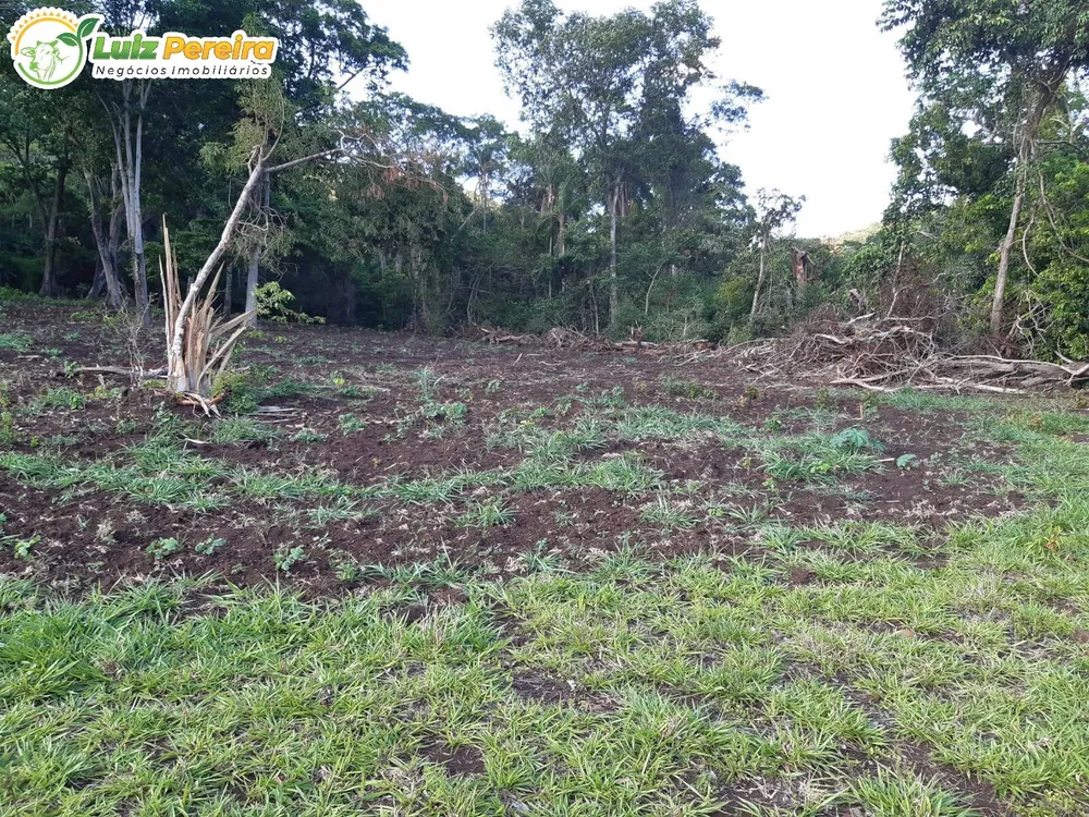 Terreno, 83 hectares - Foto 7