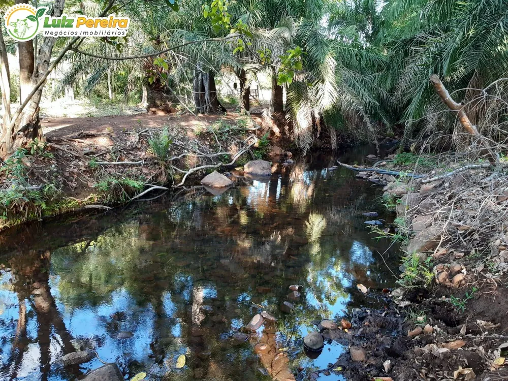 Terreno, 83 hectares - Foto 15