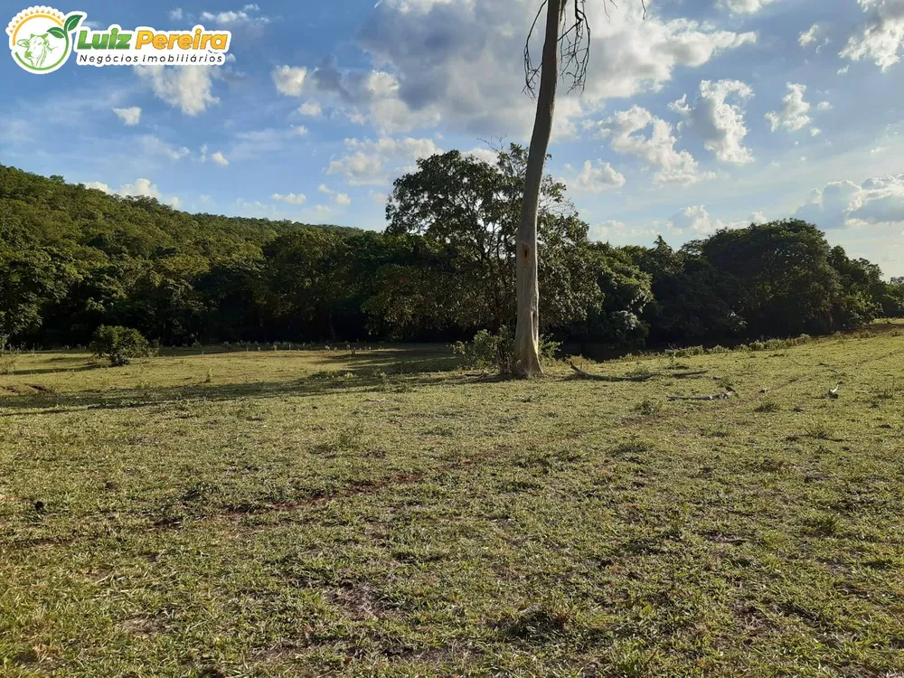 Terreno, 83 hectares - Foto 12
