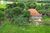 Terreno, 103 m² - Foto 3