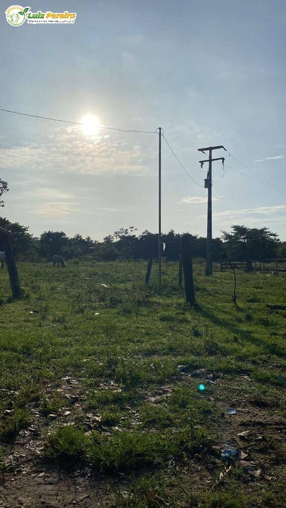 Terreno, 484 hectares - Foto 3