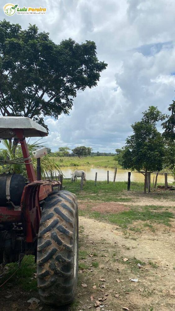 Terreno, 484 hectares - Foto 4