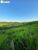 Terreno, 2323 m² - Foto 3