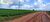 Terreno, 754 hectares - Foto 4