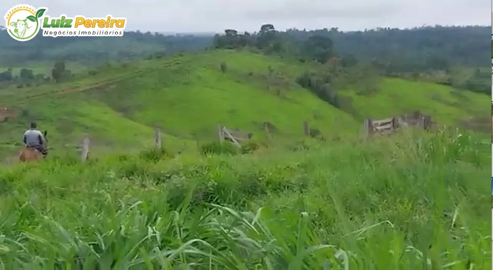 Terreno, 494 hectares - Foto 3