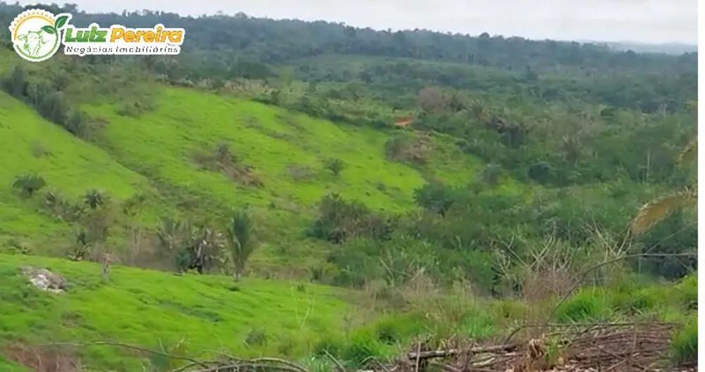 Terreno, 494 hectares - Foto 6