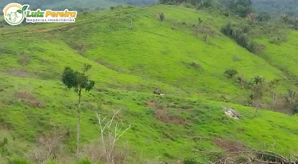 Terreno, 494 hectares - Foto 2