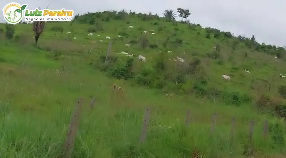 Terreno, 494 hectares - Foto 4