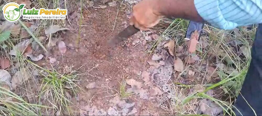 Terreno, 1016 m² - Foto 3