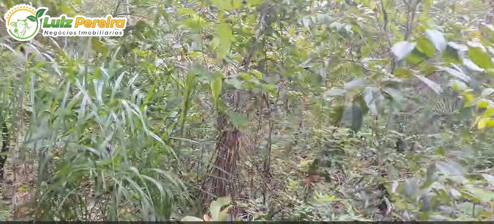 Terreno, 1016 m² - Foto 2