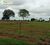 Terreno, 1268 hectares - Foto 1
