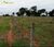 Terreno, 1268 hectares - Foto 2