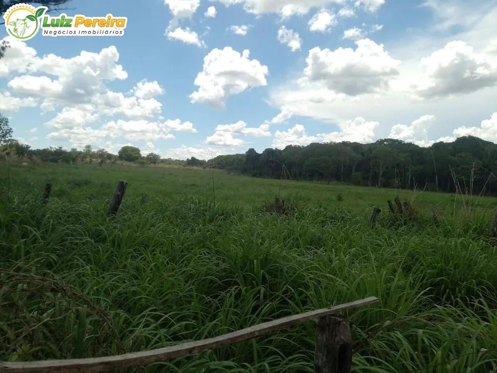 Terreno, 1170 m² - Foto 5