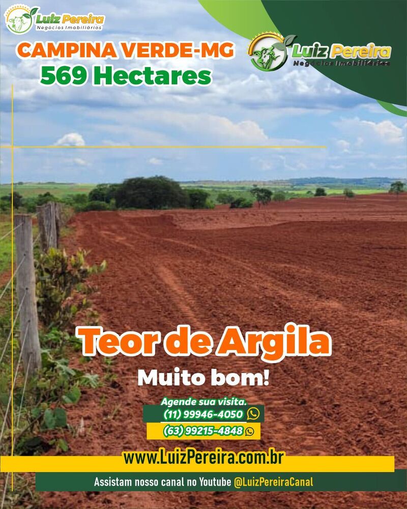 Fazenda à venda com 3 quartos, 569m² - Foto 6