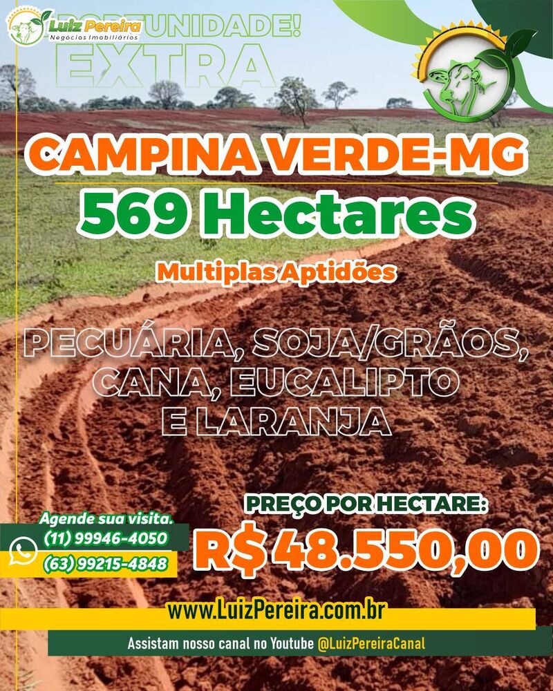 Fazenda à venda com 3 quartos, 569m² - Foto 3