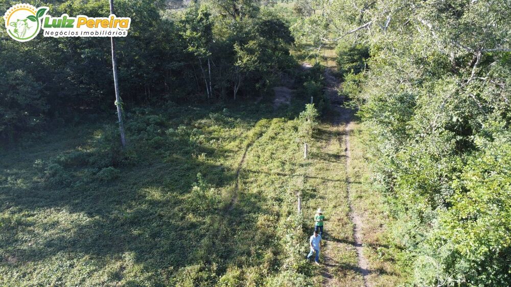 Terreno, 3500 m² - Foto 4