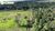 Terreno, 3500 m² - Foto 3