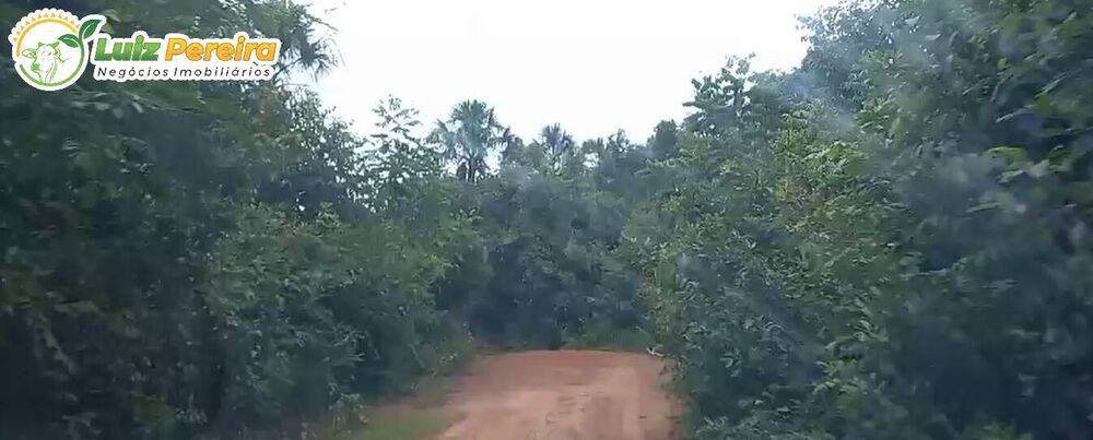 Terreno à venda, 6000m² - Foto 4