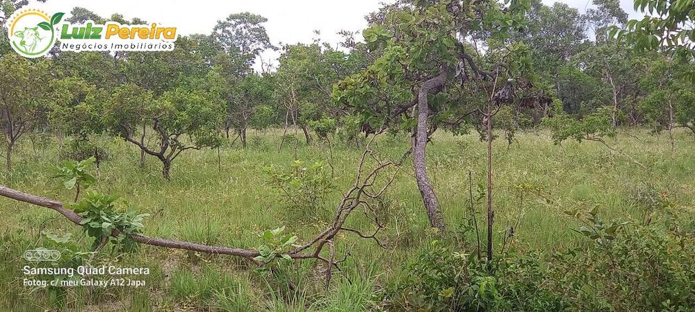 Terreno à venda, 6000m² - Foto 1