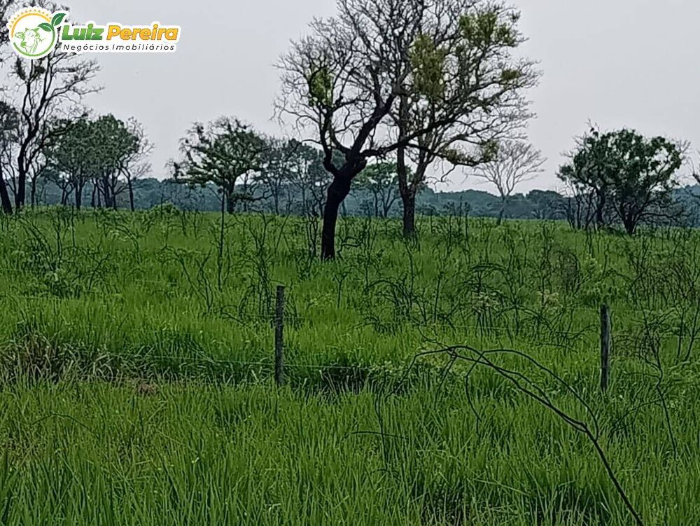 Terreno, 5800 m² - Foto 3