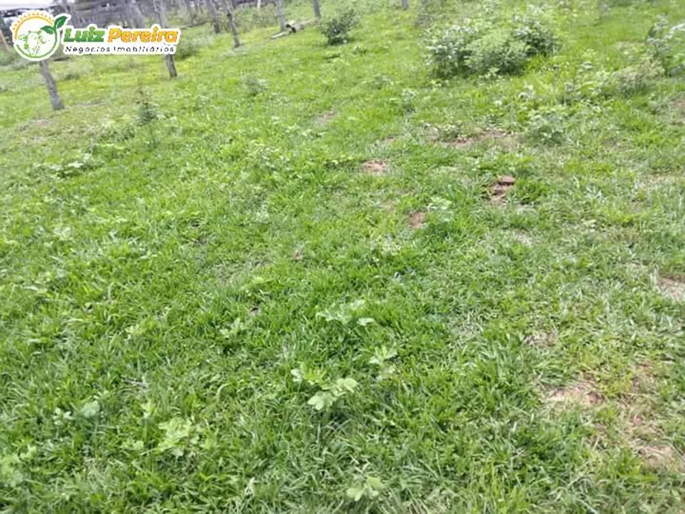 Terreno, 5800 m² - Foto 8