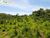 Terreno, 639 hectares - Foto 2