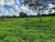 Terreno, 1689 hectares - Foto 2