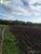 Terreno, 1689 hectares - Foto 5