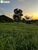 Terreno, 1689 hectares - Foto 3