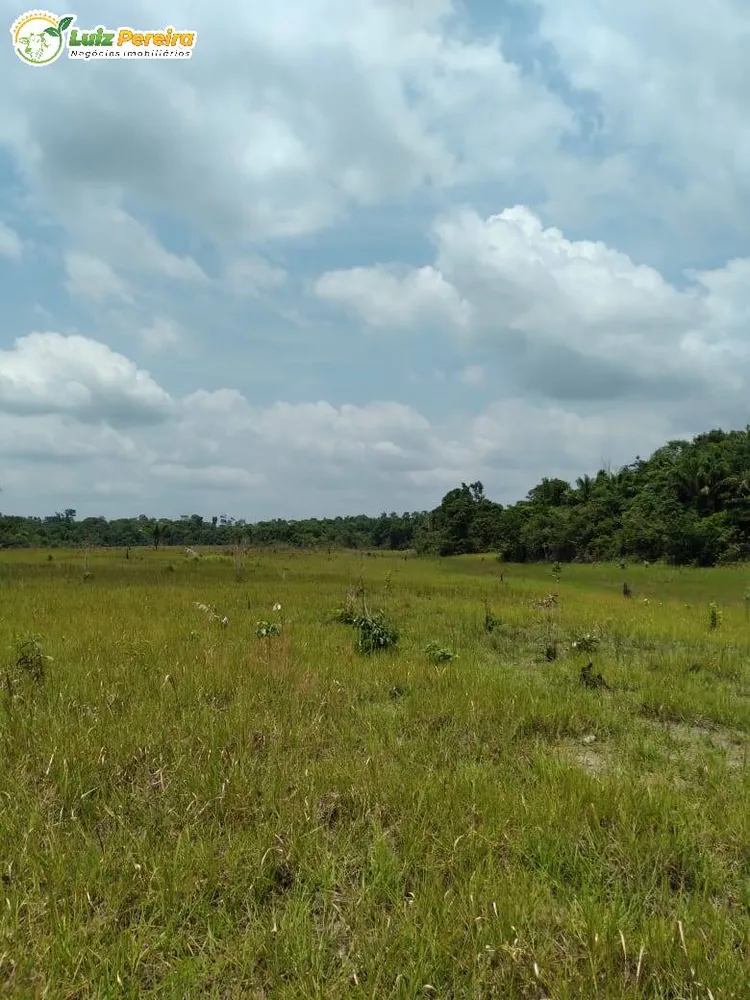 Terreno, 1400 m² - Foto 4
