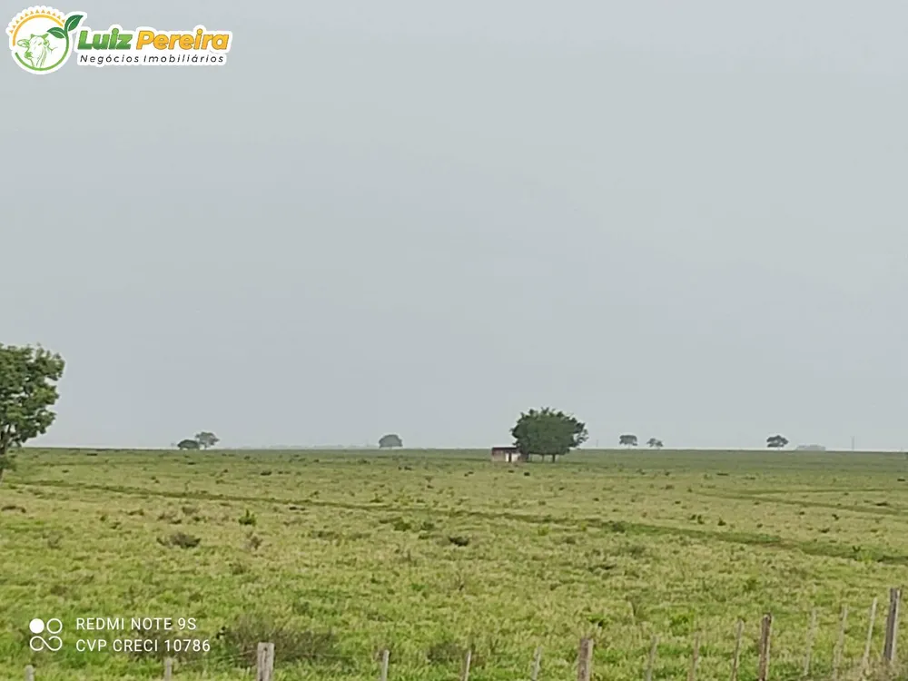 Terreno, 1 hectares - Foto 13