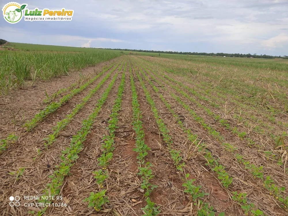 Terreno, 1 hectares - Foto 10