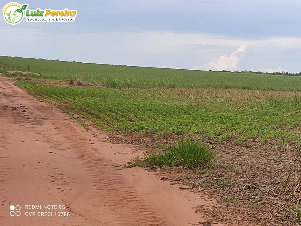 Terreno, 1 hectares - Foto 12