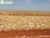 Terreno, 1 hectares - Foto 1